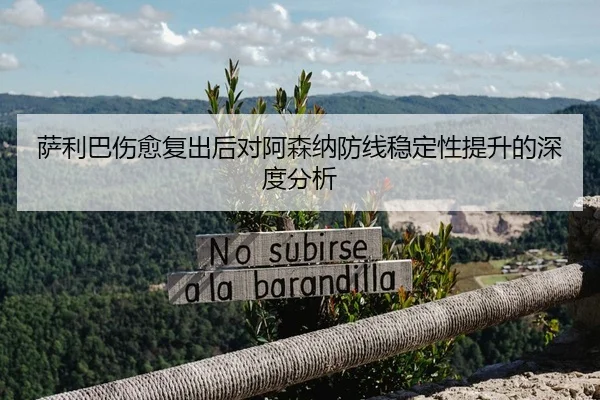 萨利巴伤愈复出后对阿森纳防线稳定性提升的深度分析