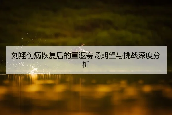 liu-xiang-shang-bing-hui-fu-hou-de-chong-fan-sai-chang-qi-wang-yu-tiao-zhan-shen-du-fen-xi-2-336.jpg